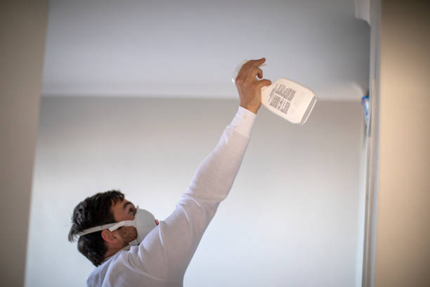 Best Commercial Mold Remediation in Laguna Woods, CA